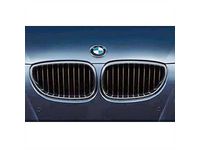 BMW 545i Grille - 51712155447